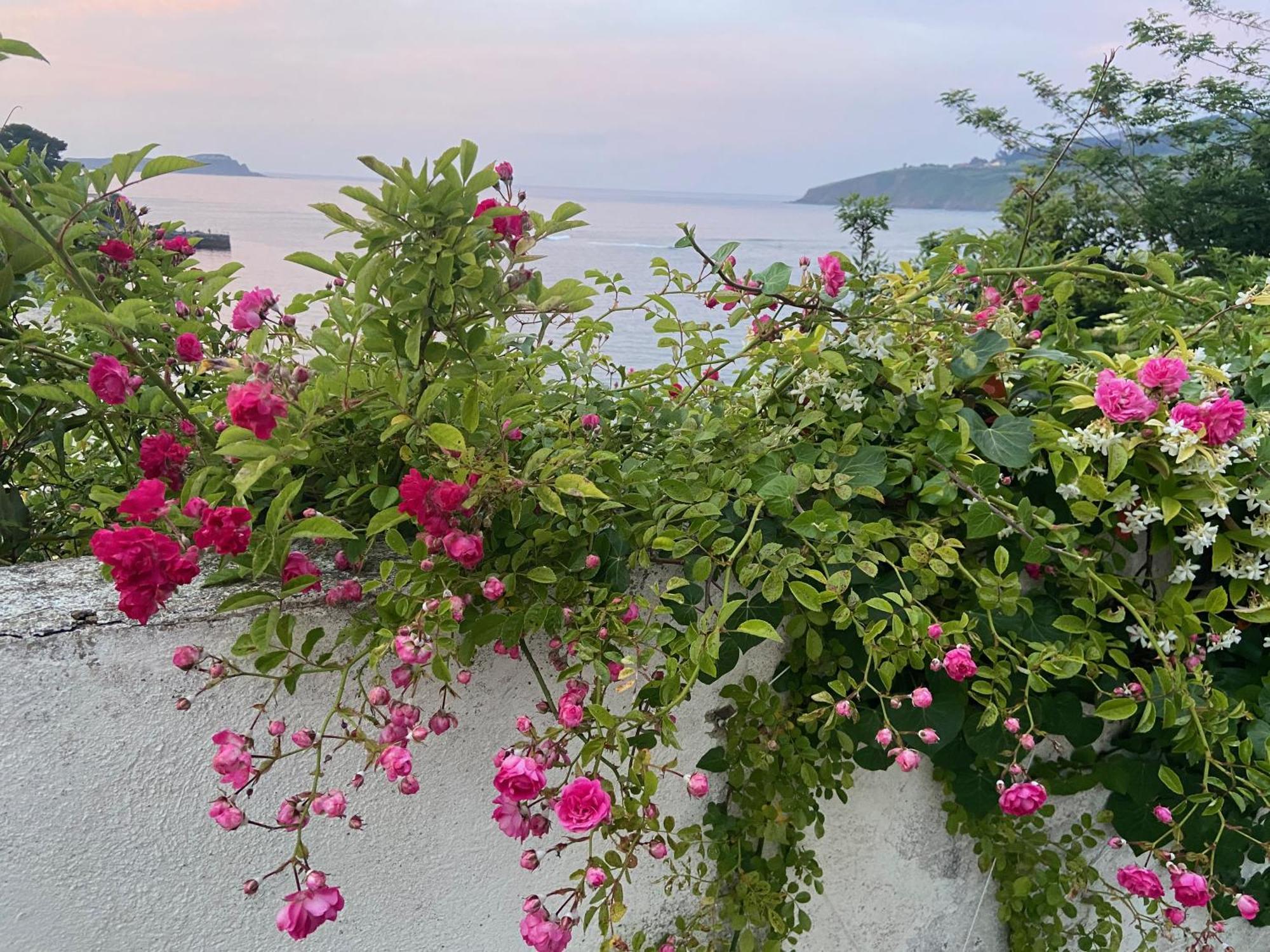 Mundaka Beachfront House Bagian luar foto