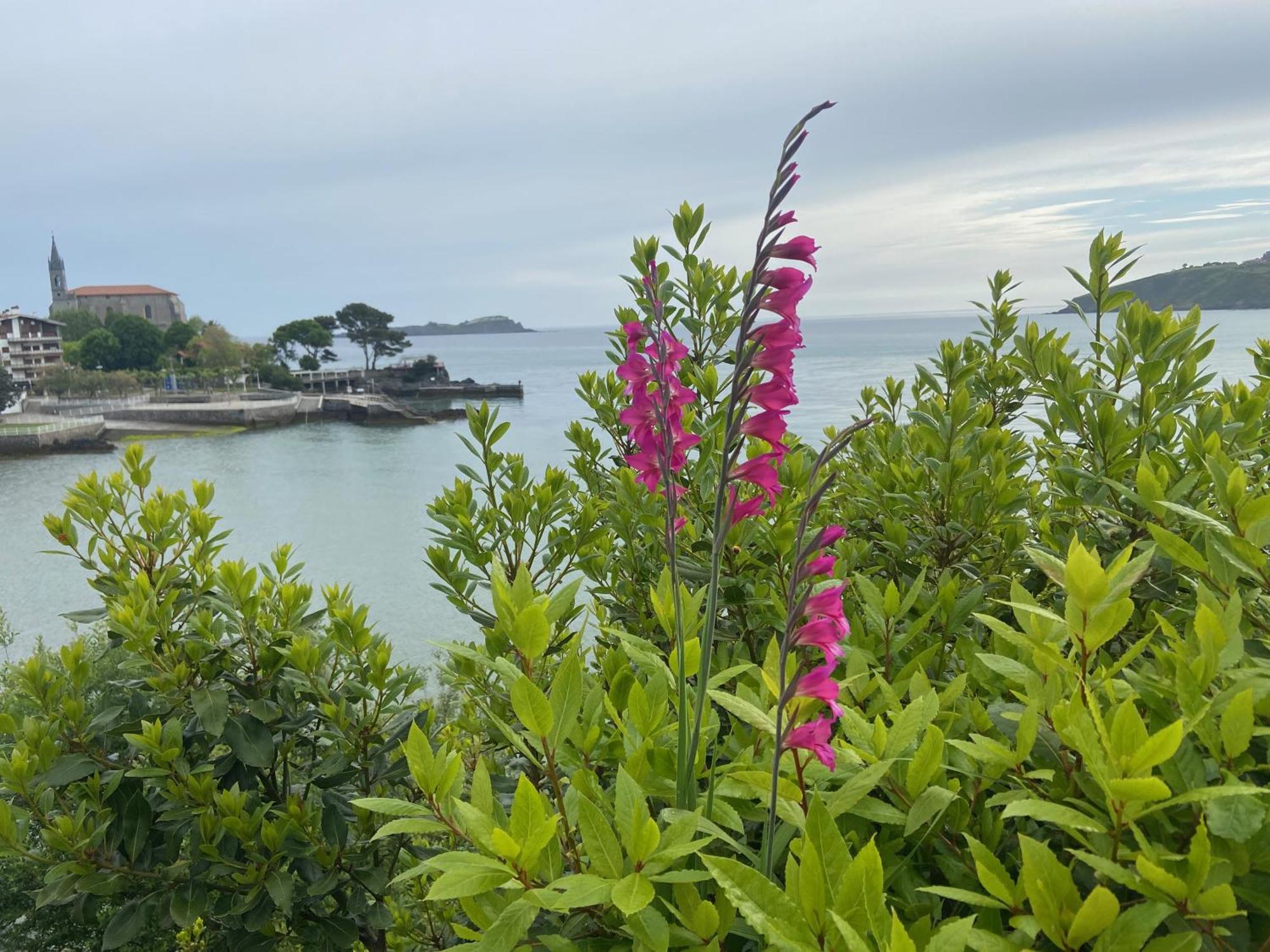Mundaka Beachfront House Bagian luar foto