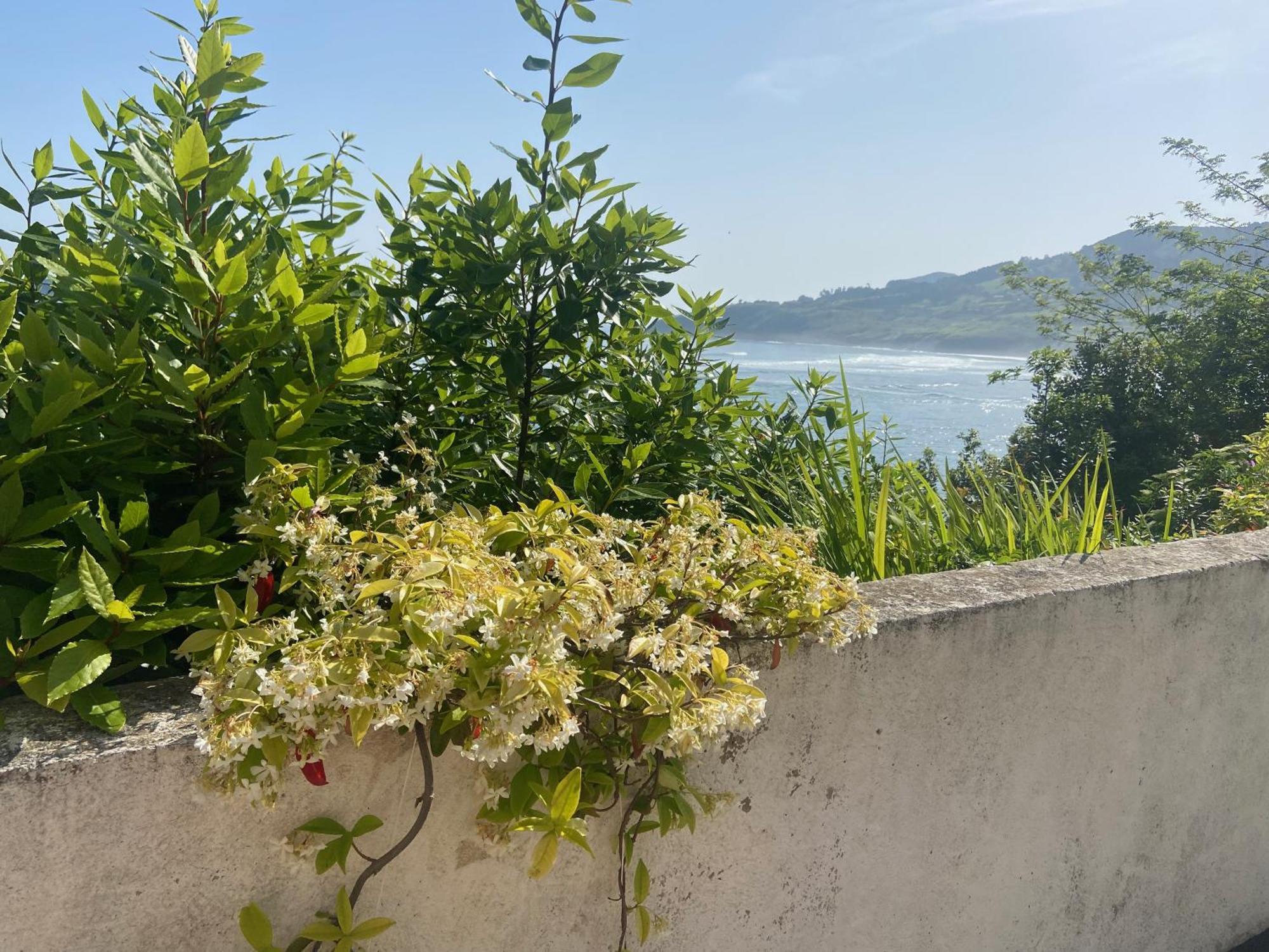 Mundaka Beachfront House Bagian luar foto